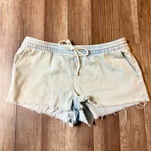 Aerie Light Wash Jean Shorts with Frayed Hem